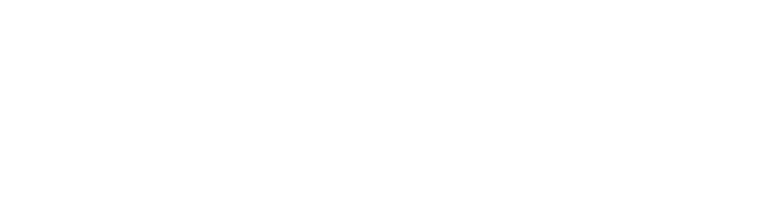 Sprint Express Logistics